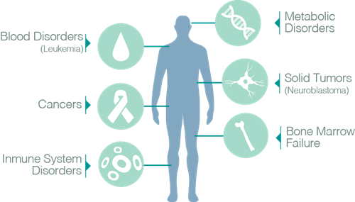 human body with cord blood treatments