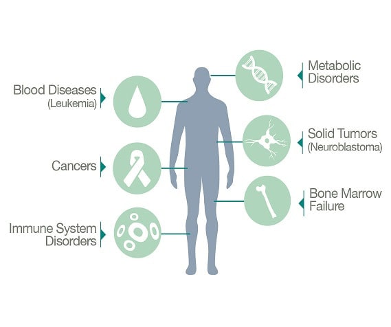 human body with cord blood treatments