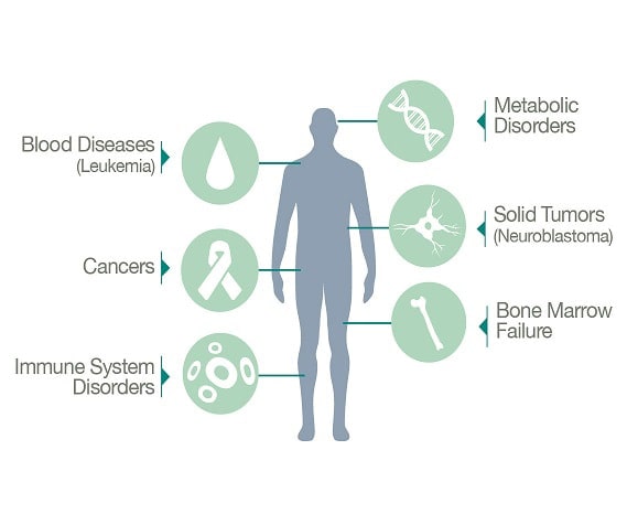 What is Cord Blood and Cord Blood Banking?