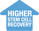 Higher stem cell recovery