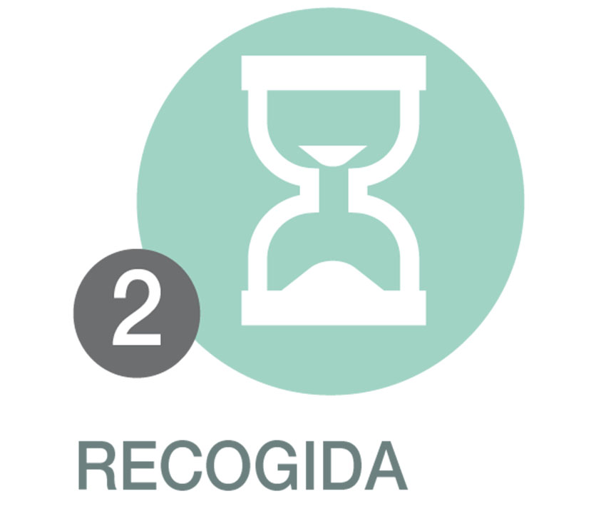 Recogida