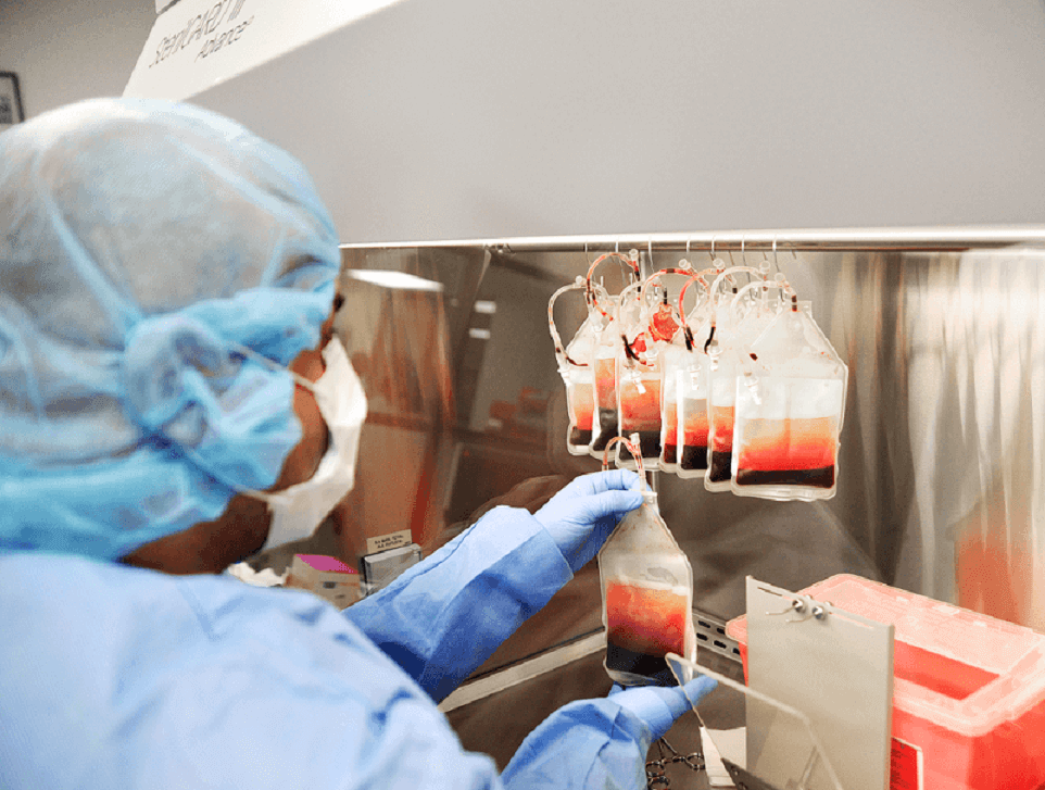 human body with cord blood treatments