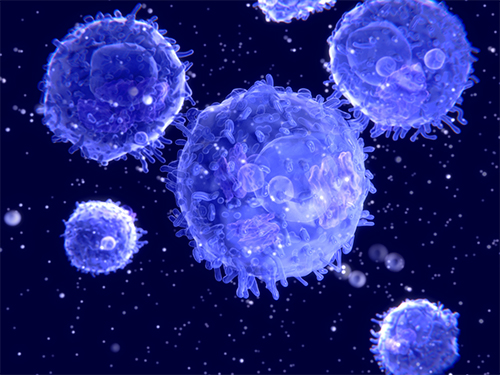 T-cells under a microscope