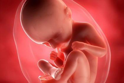 Storing Placental Tissue: What You Need to Know