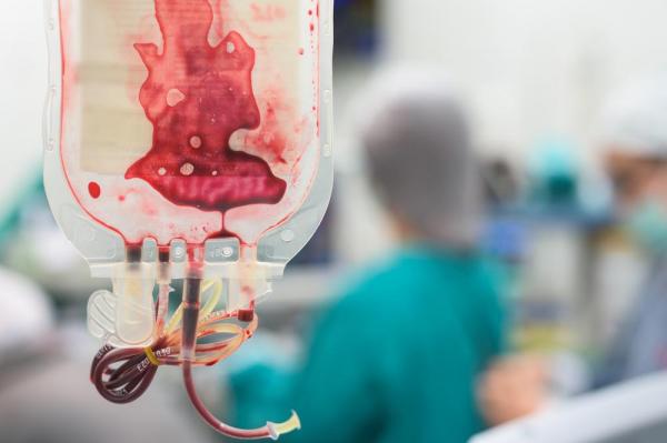 Blood Transfusion Study: Cord Blood Better than Bone Marrow 