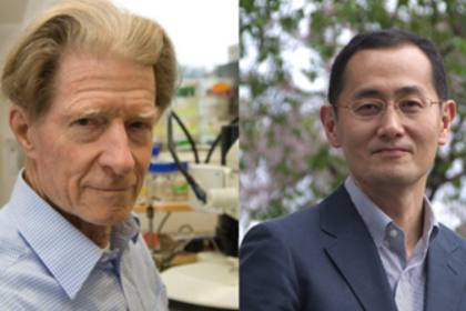 Stem Cell Scientists Awarded Nobel Prize